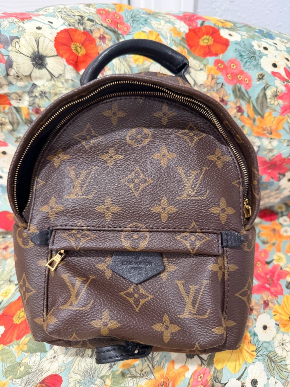 Louis Vuitton Palm Springs Mini Backpack Monogram Black Authentic